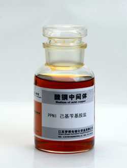 PPNI